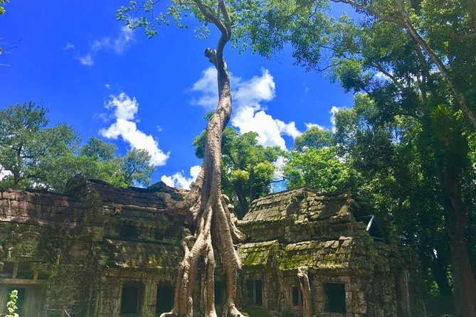 Angkor Wat one Day Private Tour for All Highlight Angkor Temples - Phnom Bakheng and the sunset finish