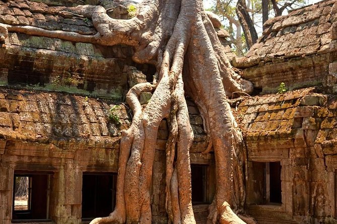 Angkor Wat Private Day Tour - Is $45 a good value?