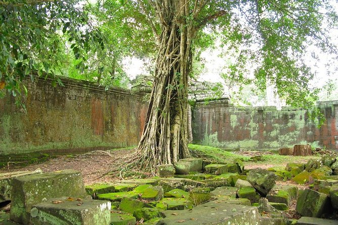 Angkor Wat Private Tour with English Speaking Driver, NO guide - Bayon Temple and its carved faces