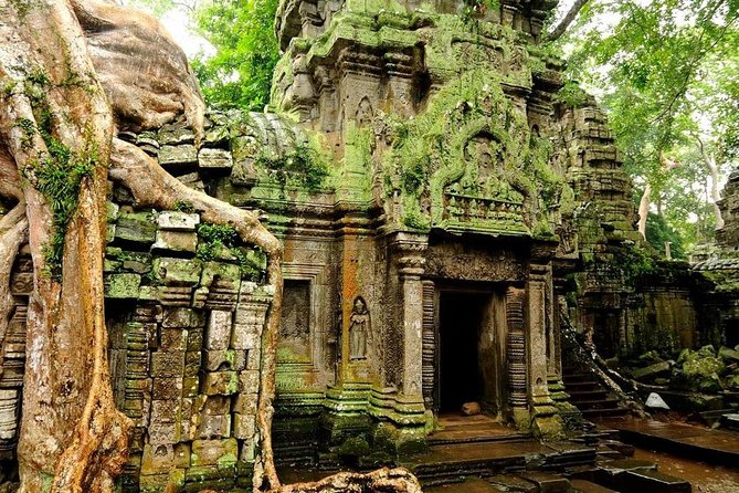 Angkor Wat Private Tour with English Speaking Driver, NO guide - Tuk tuk or minivan, and why it matters
