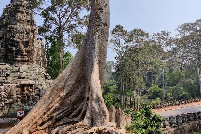 Angkor Wat Private Tuk-Tuk Tour (sunrise Option) & more - Ta Keo, a temple of scale and stone