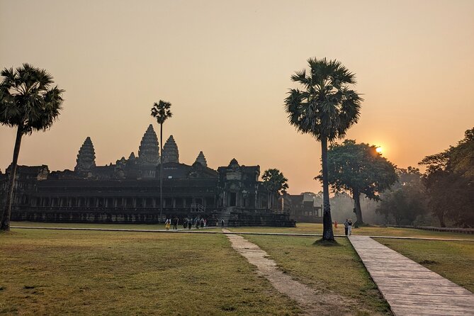 Angkor Wat Private Tuk-Tuk Tour (sunrise Option) & more - Ta Prohm and the pull of the jungle