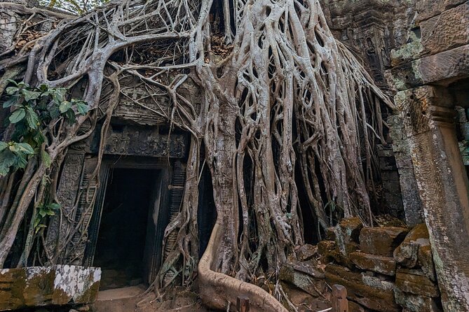 Angkor Wat Private Tuk-Tuk Tour (sunrise Option) & more - The driver makes or breaks the day
