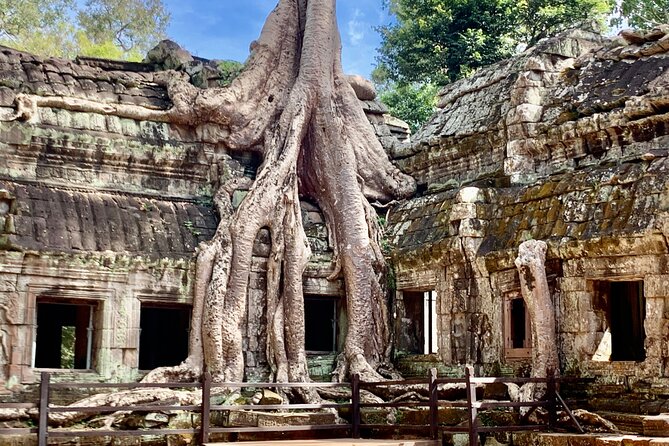 Angkor Wat Small Circuit & Sunset Tour - Ta Prohm: famous trees, fragile ruins, and plenty of interest