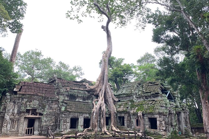 Angkor Wat Small Circuit & Sunset Tour - Lunch and the practical middle of the day