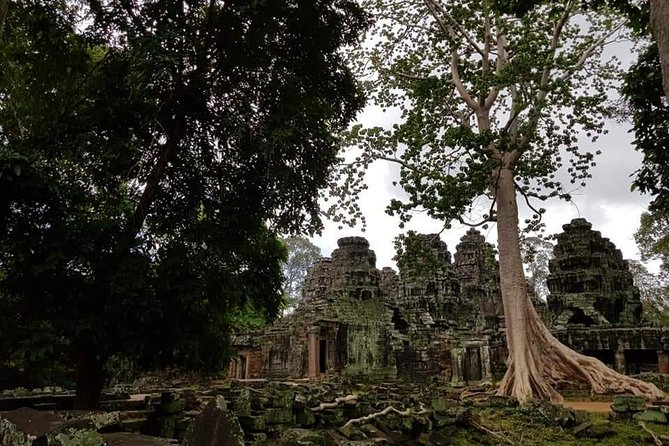 Angkor Wat Small Circuit Tour - Ta Prohm: the atmospheric stop