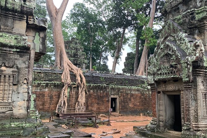 Angkor Wat Small Circuit Tour - What the private guide adds