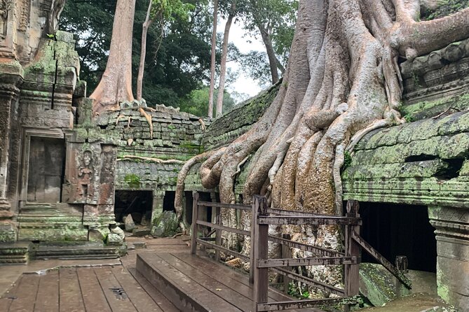 Angkor Wat Small Circuit Tour - Transport, comfort, and the pace of the day