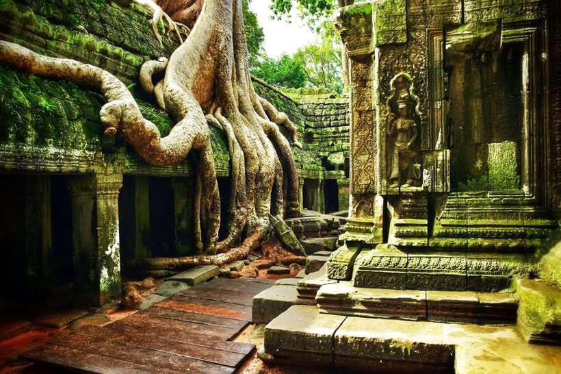 Angkor Wat: Small-Group Tour with Balloon Ride and Lunch - Ta Prohm and the Trees That Took Over