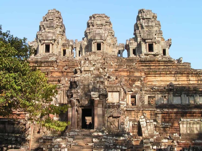 Angkor Wat Small Tour Sunrise With Private Tuk Tuk - Ta Prohm supplies the day’s most atmospheric setting