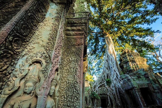 Angkor Wat Sunrise & All Highlight Angkor Temple Private Day Tour - Ta Prohm is the day’s most atmospheric temple