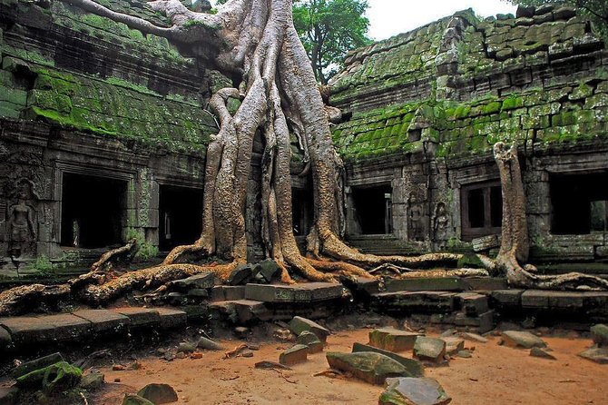 Angkor Wat Sunrise and Tonle Sap Lake 1.5 Days - The Terraces and the scale of royal Angkor