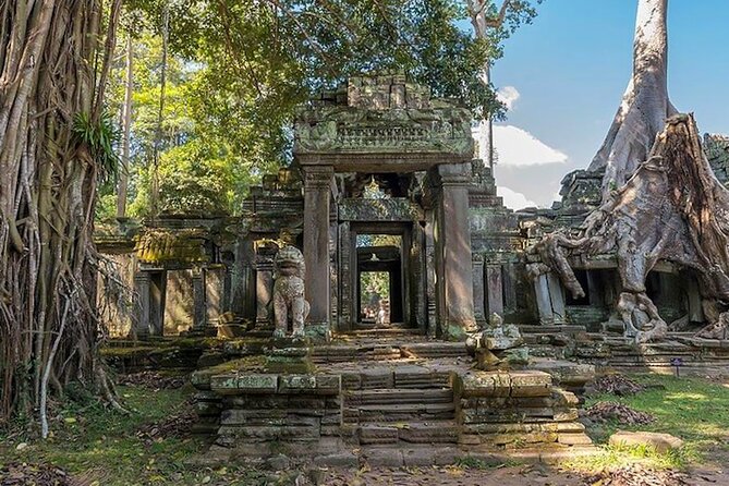 Angkor Wat Sunrise: Exclusive Private Tour! - Is $60 per person good value?