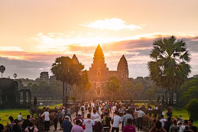 Angkor Wat Sunrise Guided Join-In Tour/Private Tour - Ta Prohm and the appeal of the ruins