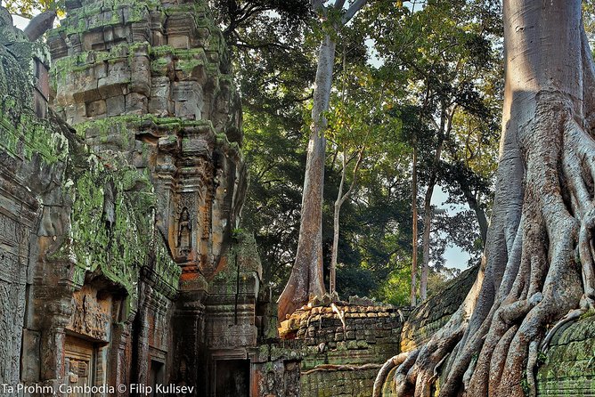 Angkor Wat Sunrise or Sunset Tour with Guide from Siem Reap - The real cost: $55 before food and extras