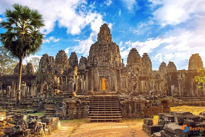Angkor Wat: Sunrise or Sunset Tours with Tuk Tuk - Ta Prohm, where trees press into the ruins