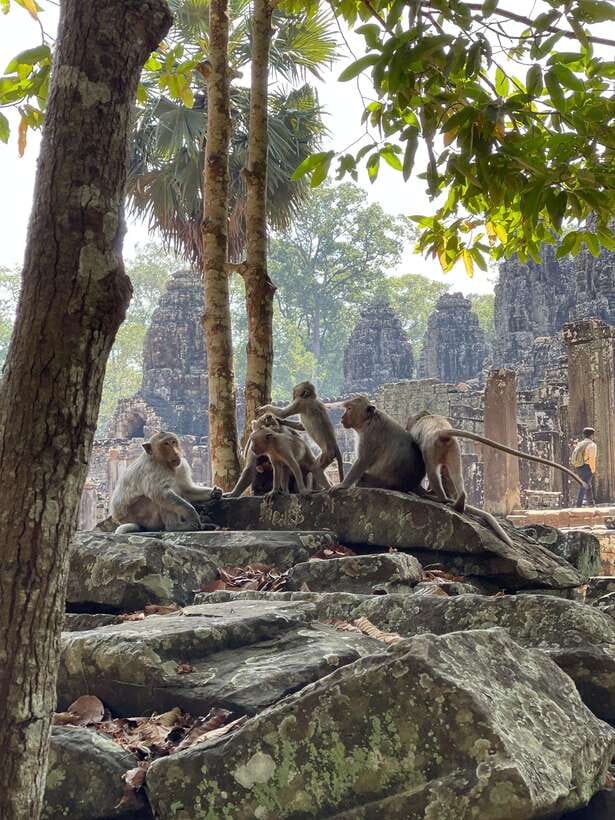 Angkor Wat Sunrise Private Full Day Tour - Angkor Thom begins at the Elephant Terrace