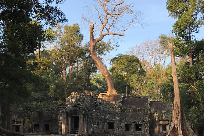 Angkor Wat Sunrise Private Tour by Vintage Jeep - Riding a vintage Jeep through Angkor