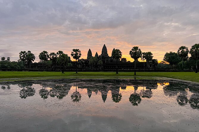 Angkor Wat Sunrise Small Group Tour With Breakfast - Ta Prohm and the power of the trees