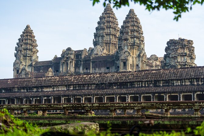 Angkor Wat Sunrise Tour - Ta Prohm and the power of contrast