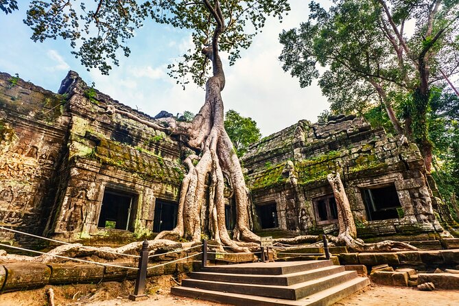 Angkor Wat, Ta Promh, Banteay Srei, Bayon temples Private Tour - Ta Prohm’s trees and broken stone