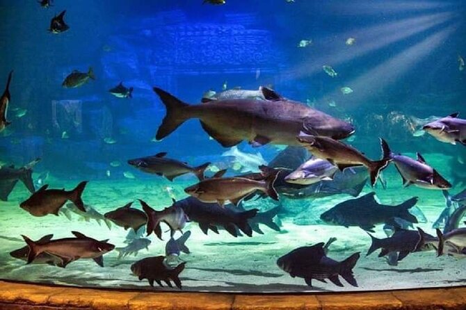 Angkor Wildlife & Aquarium Halfday tour - Who will enjoy this tour most?