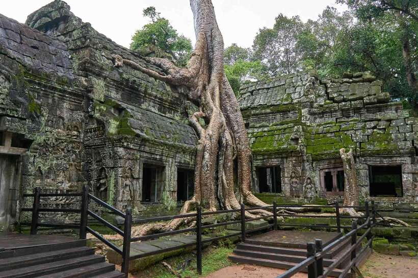 Angkor Zipline and Temple Tour with Sunset - Key points before you book
