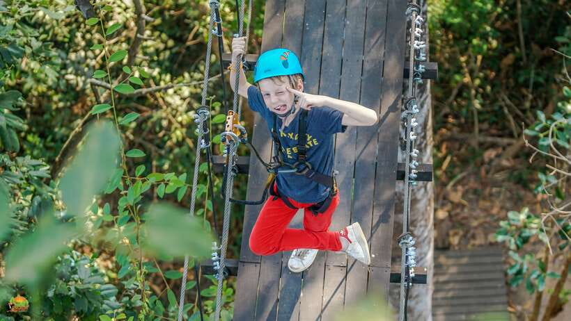Angkor Zipline Eco-Adventure Canopy Tour - Registration, harness fitting, and the safety platform