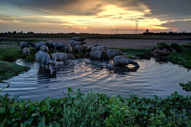 ATV Grand Sunset Tour - The sunset stop near rice fields