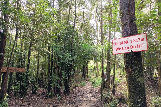 Aural Mountain Trek: Cambodia Tallest Peak Challenge - The 1974 plane wreck in the forest