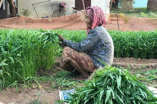Authentic Cambodian Countryside Jeep Experience - Watching farms work beyond the city