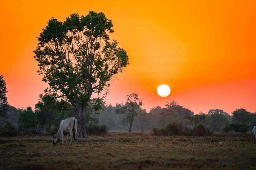 Authentic Siem Reap: Tuk Tuk Countryside and Sunset Tour - Key things to know before you go