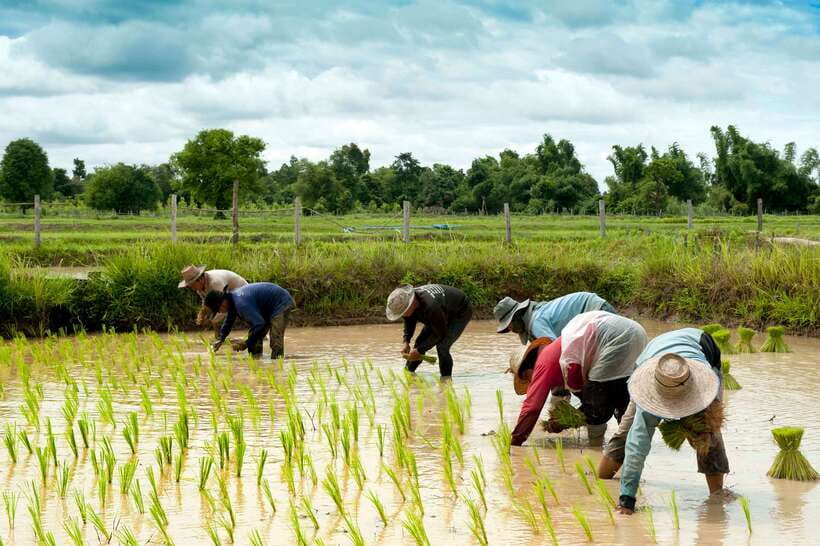 Back to Basics: Siem Reap Village Tour in Cambodia - Why this village visit feels different
