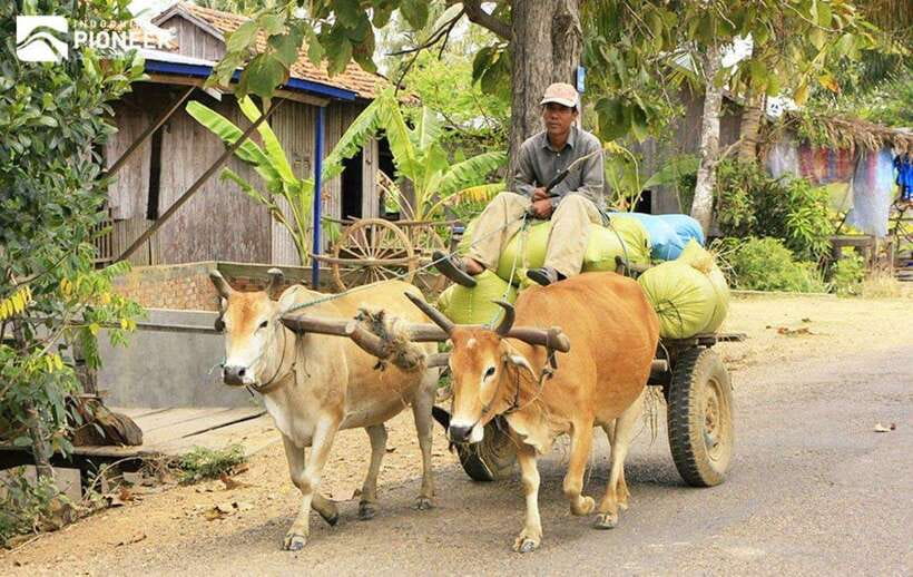 Back to Basics: Siem Reap Village Tour in Cambodia - What the mixed experience means for you