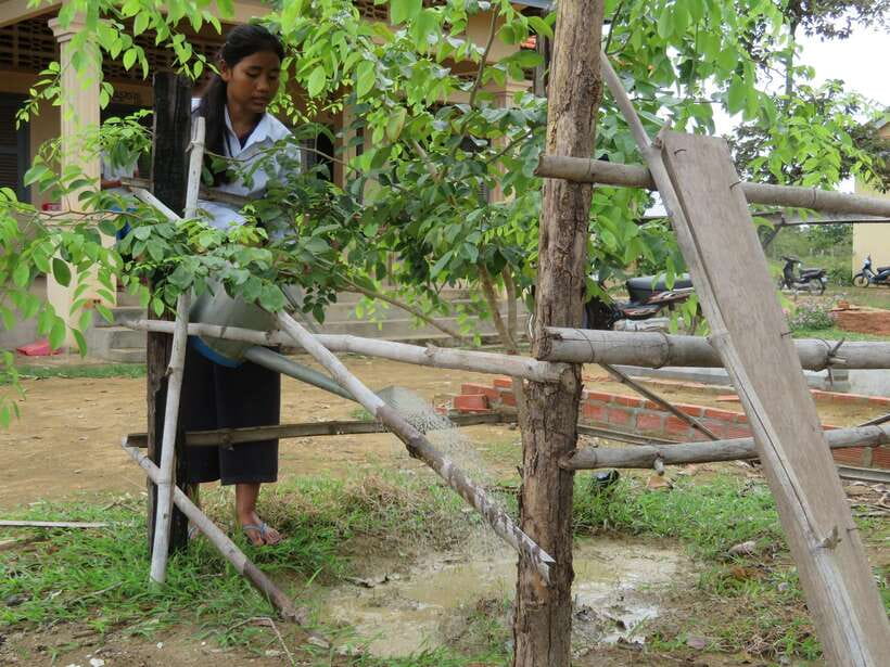Back to Basics: Village Life Tour from Siem Reap - Key points to know before you go