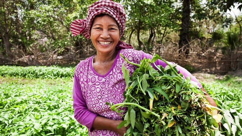 Back to Basics: Village Life Tour from Siem Reap - Why this village tour feels different from Siem Reap sightseeing