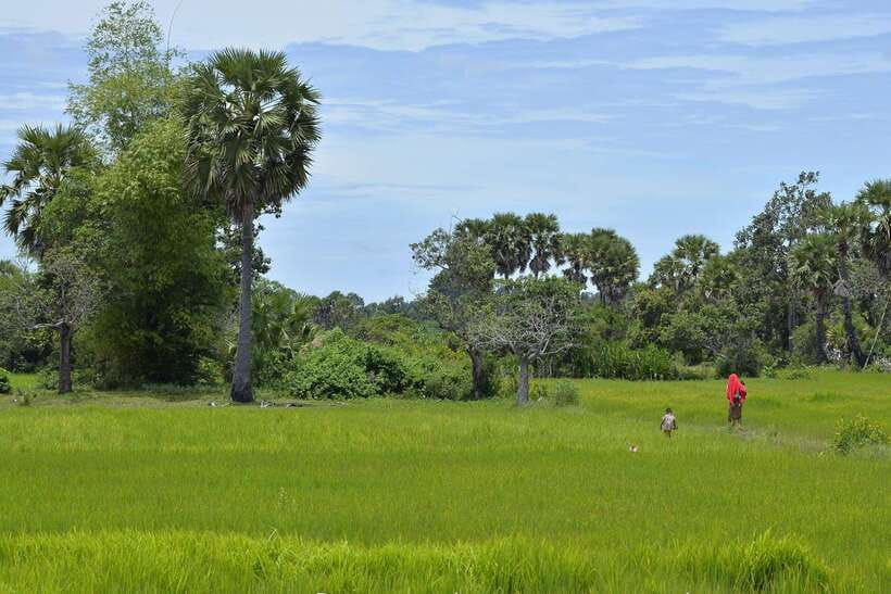 Back to Basics: Village Life Tour from Siem Reap - Meeting families who still make things by hand