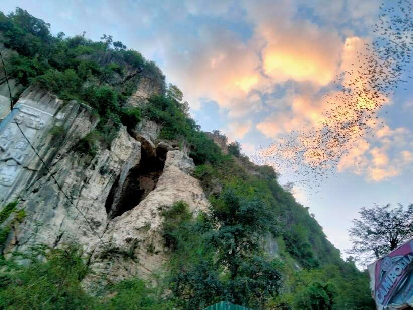 Bamboo Train, Banann Temple, Fruit Bat, Bat Cave, Sunset - Guide quality can shape the whole day