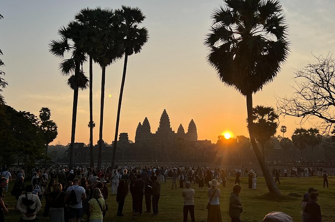Bangkok to Angkor Wat 2 Days 1 Night by Flight - Ta Prohm, stone and tree roots