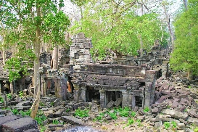 Banteay Chhmar Temple & Silk Farm Private Day Trip from Siem Reap - Angkor Silk Farm, from Mulberry Trees to Woven Cloth