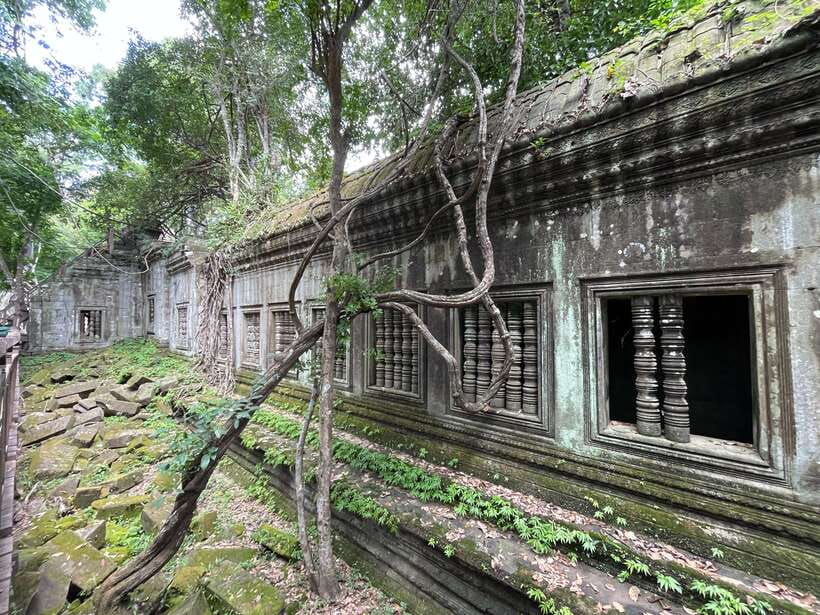 Banteay Srei, Kulen Waterfall & Beng Mealea Exploration - Beng Mealea, where the jungle has the upper hand