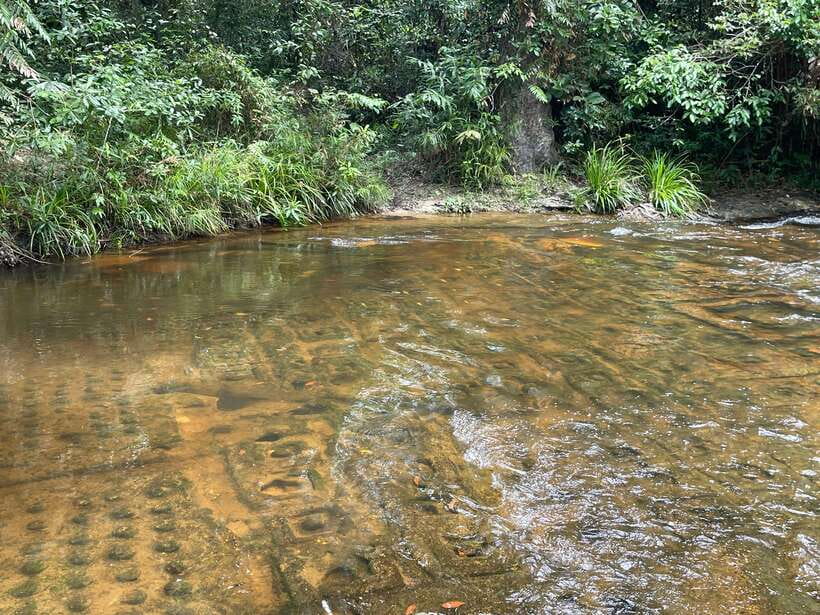 Banteay Srei, Kulen Waterfall & Beng Mealea Small-Group Tour - Swimming at Kulen Waterfall