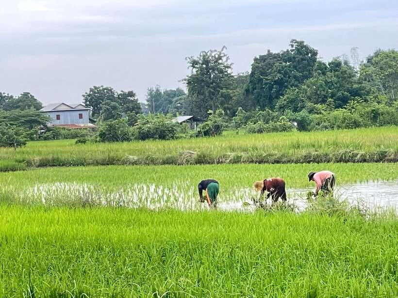 Battambang: Bamboo Train, Bat Cave and Killing Cave Tour - Is $12 a good price?