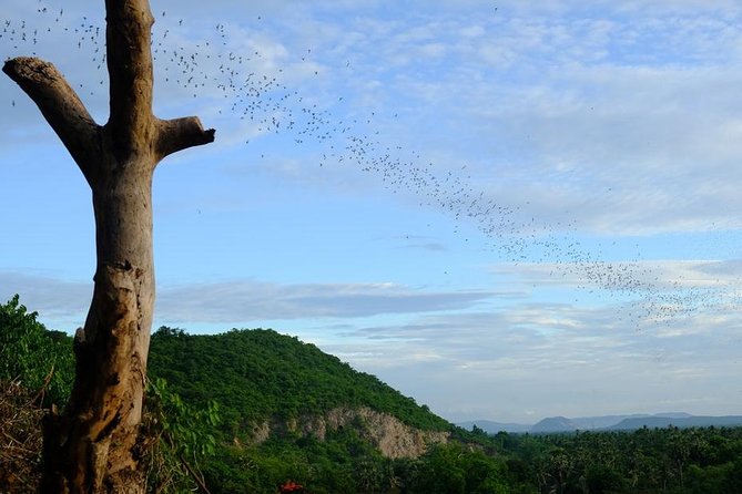 Battambang Full Day Tour from Siem Reap - Bamboo Train, Killing Cave & Sunset - Lunch, drinks, and the practical comfort level