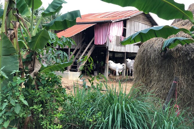Battambang Private afternoon tour bamboo train bat cave & village - The bamboo train, one hour on a simple rail car