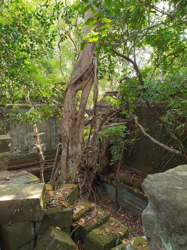 Beng Mealea, Koh Ker & Floating village Day Tour - How the day feels from start to finish