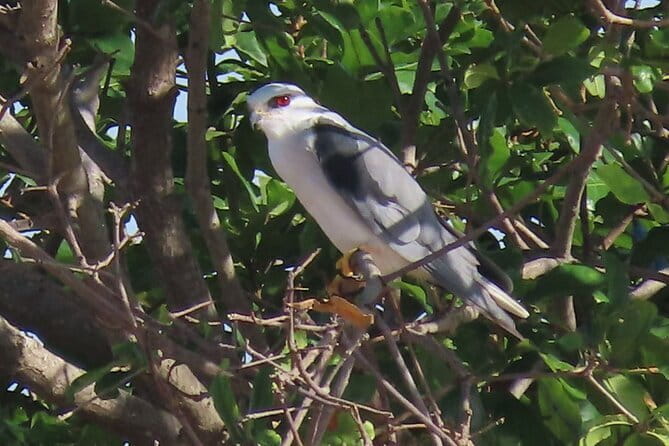Beyond The Oudong Temple and Birdwatching in Phnom Penh - Oudong temple and the old Cambodian capital