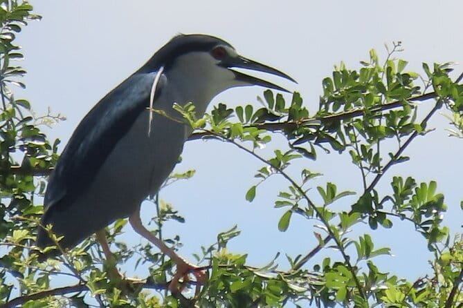 Beyond The Oudong Temple and Birdwatching in Phnom Penh - Along the Tonle Sap River and the Muslim community