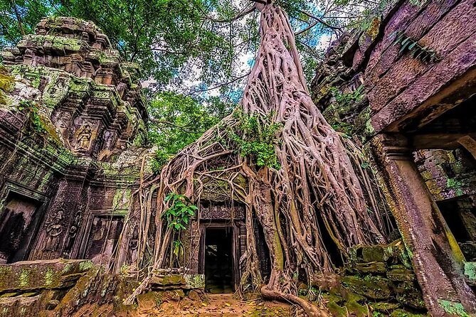 Cambodia 7 Days Tour from Siem Reap to Battambang and Phnom Penh - Ek Phnom, Phnom Sampeau, and the evening bat flight