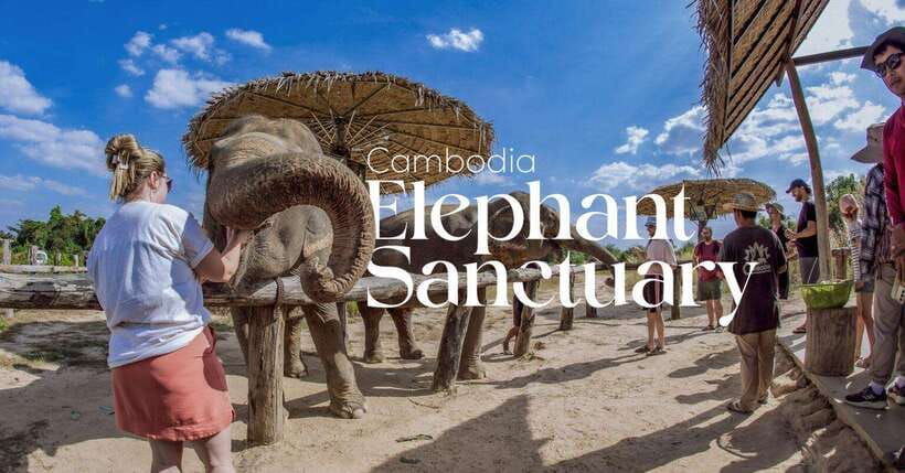 Cambodia Elephant Sanctuary and Banteay Srey Temple Tour - Key points at a glance